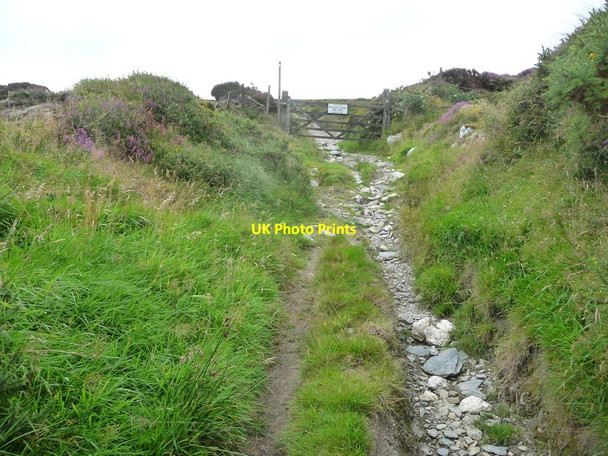 Photo 6"x4" Gate at a track junction, Sound Road Ballelby c2016