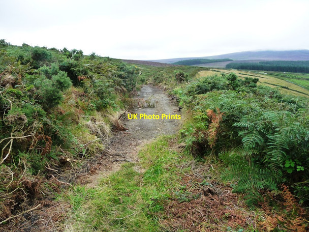 Photo 6"x4" Unusual surface, Sound Road Ballelby c2016
