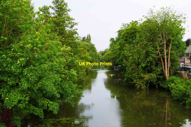 Photo 6"x4" River Leam, Royal Leamington Spa Royal Leamington Spa c2015