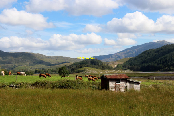 Photo 6"x4" Farmland at Kinlochmoidart Kinlochmoidart\/Ceann Loch Muideirt c2016