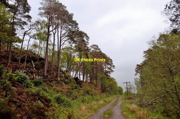 Photo 6"x4" East drive, Roshven Roshven c2015