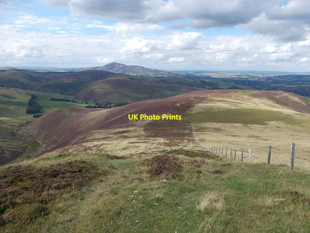 Photo 6"x4" View from Tippet Knowe Coulter c2016