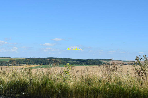 Photo 6"x4" View across Berwick Down Berwick St James c2016