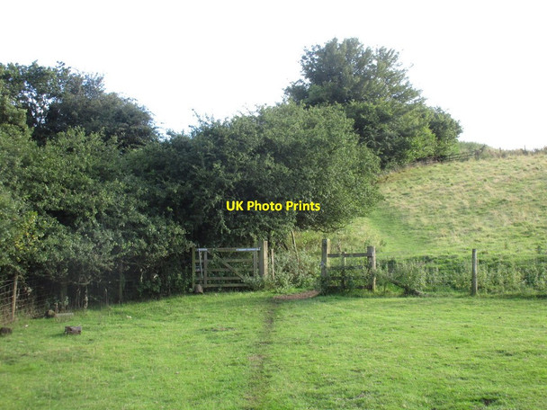Photo 6"x4" Open gate Harome c2016