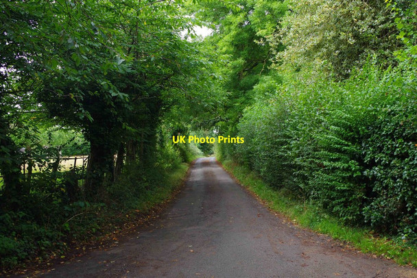 Photo 6"x4" Upper Wick Lane, Upper Wick, Rushwick, Worcs Upper Wick\/SO8253 c2016