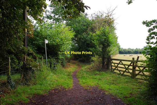 Photo 6"x4" Public footpath to St. John's, Worcester, at Upper Wick, Rushwick, Worcs Upper Wick\/SO8253 c2016