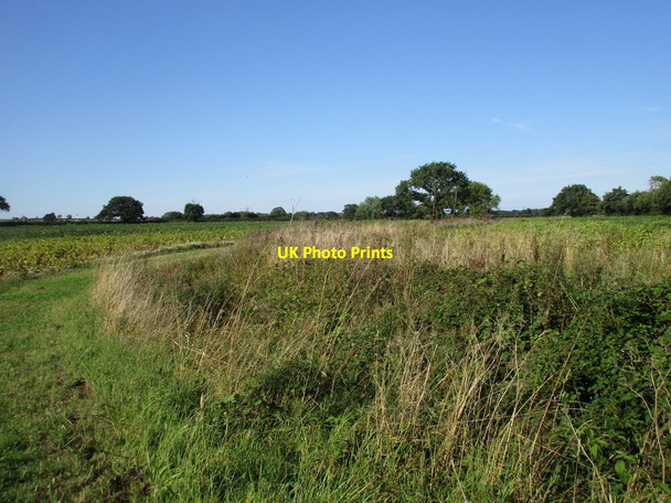 Photo 6"x4" Drain near Swinderby House Eagle Barnsdale c2016