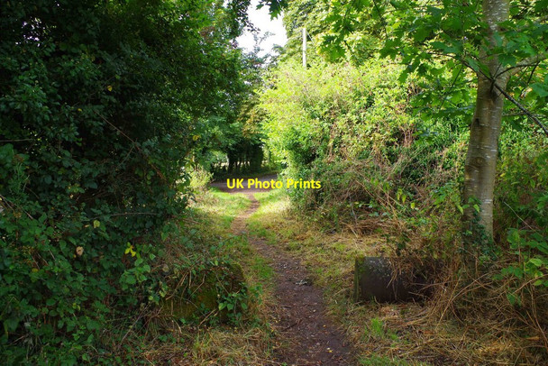 Photo 6"x4" Public footpath heading for Upper Wick Lane, Upper Wick, Rushwick, Worcs Upper Wick\/SO8253 c2016