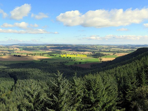 Photo 6"x4" Thrunton Wood north from Thrunton Crag Callaly c2016