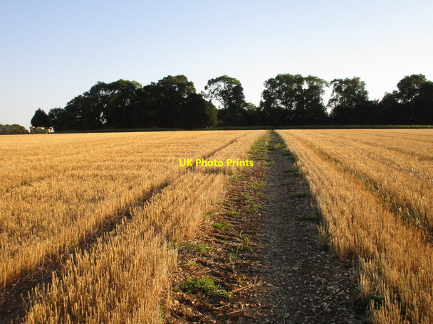 Photo 6"x4" Footpath to Lings Farm Croxby Top c2016