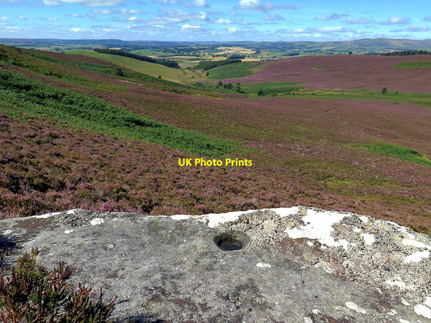 Photo 6"x4" Rock outcrop west of Long Crag Cartington c2016