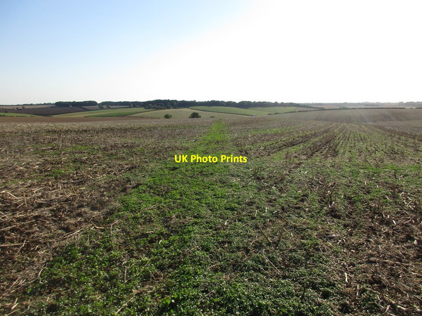 Photo 6"x4" Bridleway to Parsonage Farm Binbrook c2016