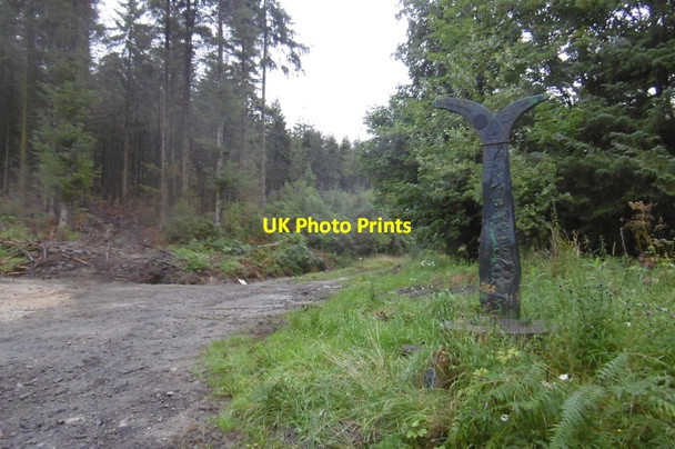 Photo 6"x4" Millennium Milepost, Silton Forest Over Silton c2016
