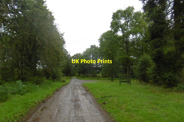 Photo 6"x4" Moor Lane Over Silton c2016