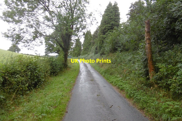 Photo 6"x4" Kirk Ings Lane Nether Silton c2016