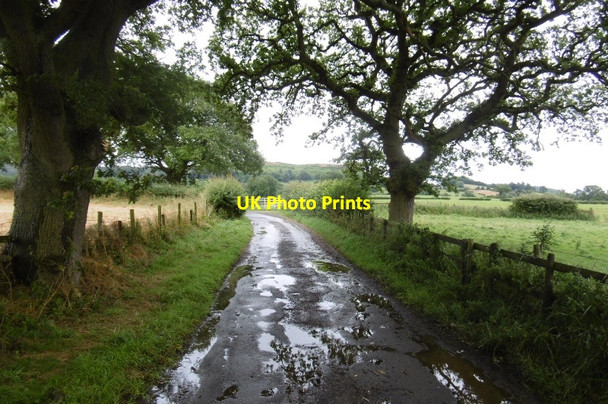 Photo 6"x4" Bridge Beck Lane Kepwick c2016