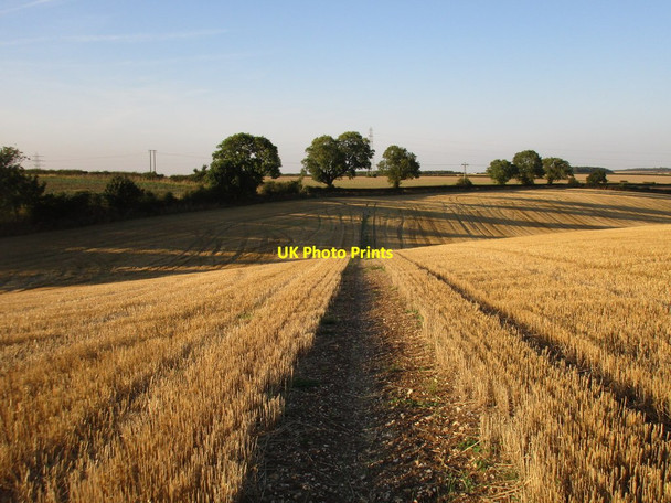 Photo 6"x4" Footpath to Cuxwold Croxby Top c2016