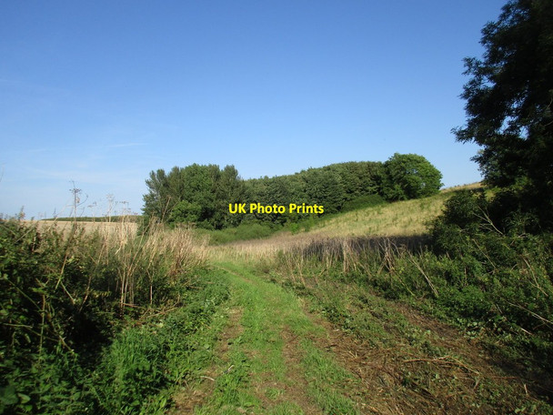 Photo 6"x4" Bridleway and Ormsby Plantation North Ormsby c2016
