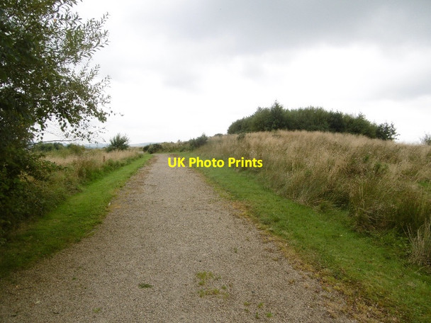 Photo 6"x4" Park off Parkmanor Avenue Barrhead c2016