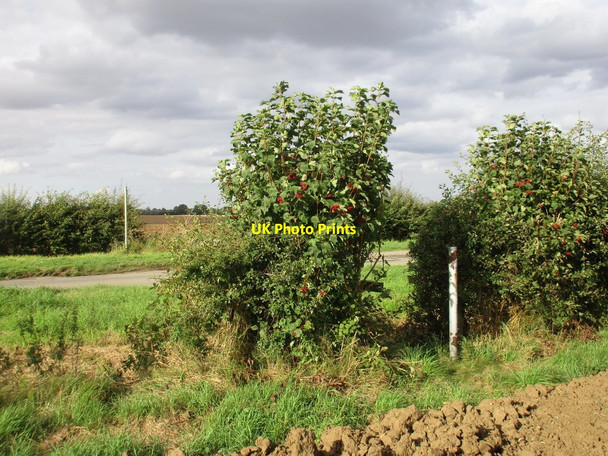 Photo 6"x4" Footpath crossing Heath Road Scothern c2016
