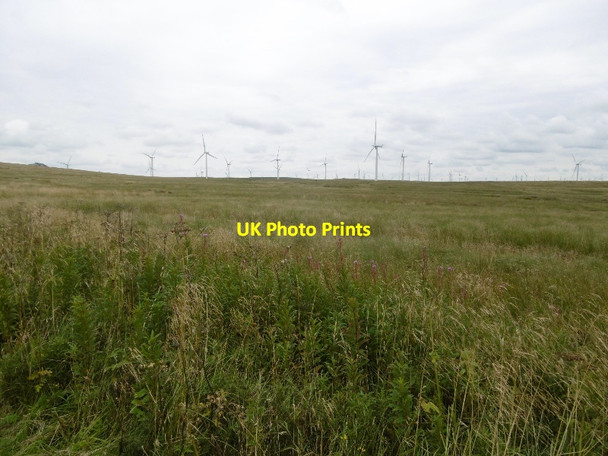 Photo 6"x4" Eaglesham Moor Greenfield Burn\/NS5248 c2016
