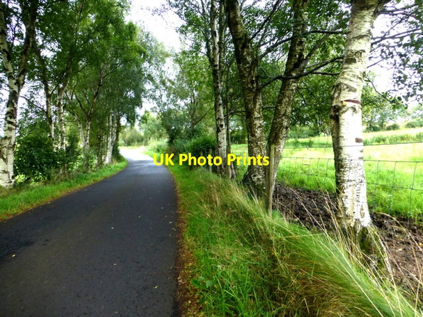 Photo 6"x4" Dreenan Road Beragh c2016