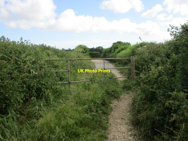 Photo 6"x4" The beginning of the bridleway to Stoughton West Stoke\/SU8208 c2016