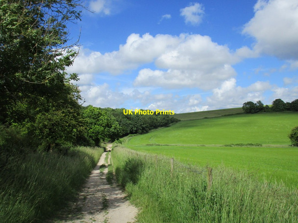 Photo 6"x4" Dropping into Kingley Vale West Stoke\/SU8208 c2016