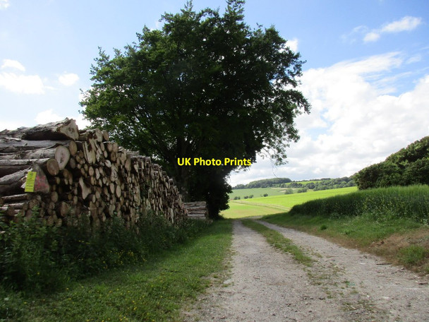 Photo 6"x4" Timber stack by the bridleway Funtington c2016