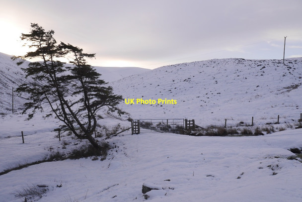 Photo 6"x4" Gate, Hass Leadhills c2016