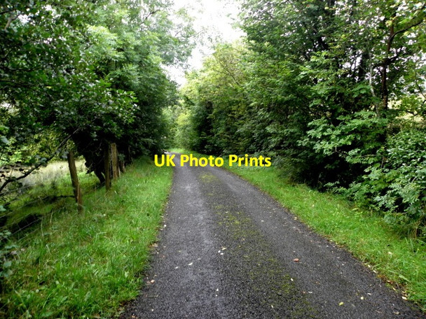 Photo 6"x4" Willmount Road, Willmount Drumquin c2016