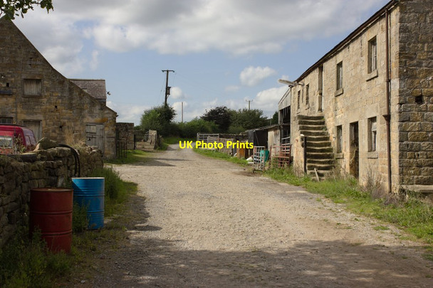 Photo 6"x4" Pot Bridge Farm Beckwithshaw c2016