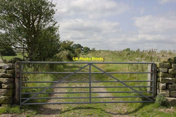 Photo 6"x4" Gated Track to Long Liberty Farm Brown Bank\/SE2153 c2016