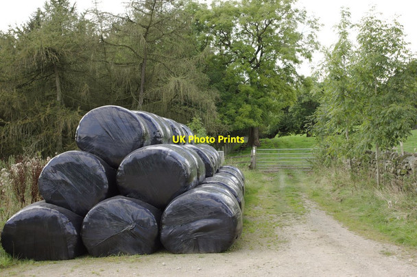 Photo 6"x4" Bales of Silage near Long Liberty Farm Brown Bank\/SE2153 c2016