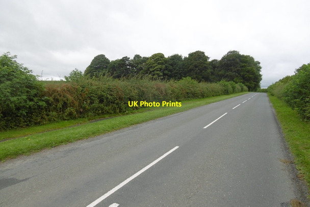 Photo 6"x4" Between Coxwold and Newburgh Priory Coxwold c2016