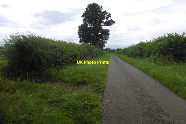 Photo 6"x4" Road near High Leys Oulston c2016