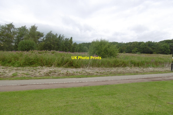 Photo 6"x4" Marsh, Millfields Easingwold c2016