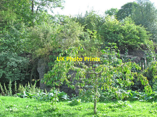 Photo 6"x4" Old lime kiln at Broadwood Kiln House (3) Frosterley c2016