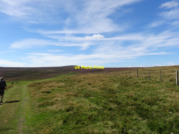 Photo 6"x4" Footpath towards Sikehead Dams Ramshaw\/NY9547 c2016