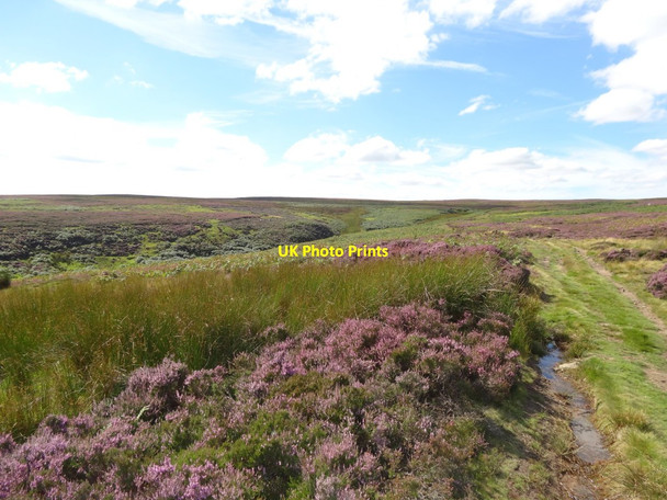 Photo 6"x4" Bridleway around Swandale head Edmondbyers c2016