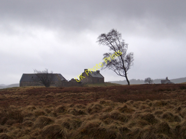 Photo 6"x4" East and West Foregin Foregin c2009