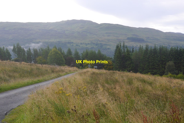 Photo 6"x4" Felled area, Edramuchty Milton Morenish c2016