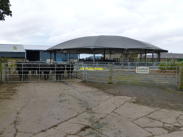 Photo 6"x4" A tent for cattle? Holefield c2016