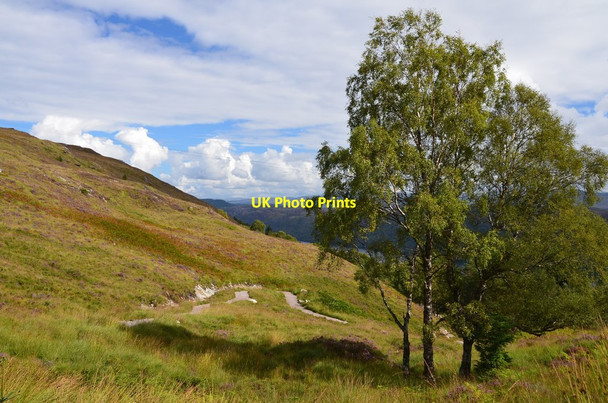 Photo 6"x4" Path above the Portclair Burn Invermoriston c2016