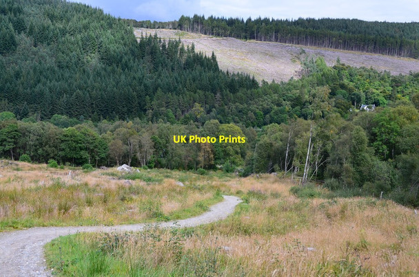Photo 6"x4" Great Glen Way nearing Invermoriston Invermoriston c2016