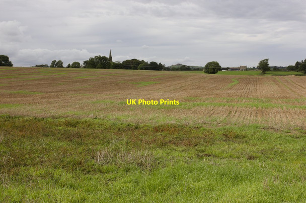 Photo 6"x4" Field off Gallogate Lane Weeton\/SE2846 c2016