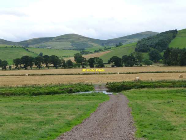 Photo 6"x4" Ford crossing Bomont Water Downham\/NT8633 c2016