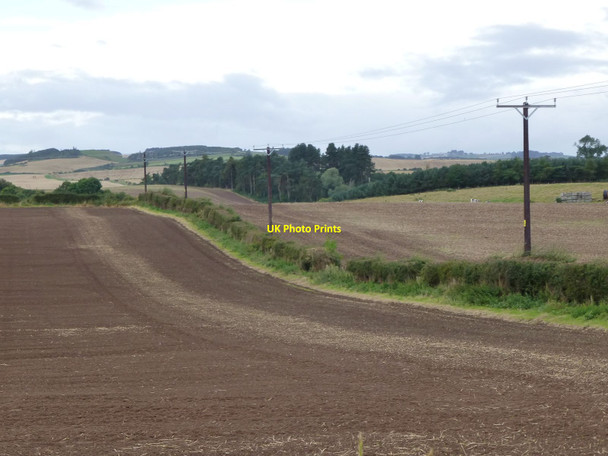 Photo 6"x4" Arable fields  East Learmouth c2016
