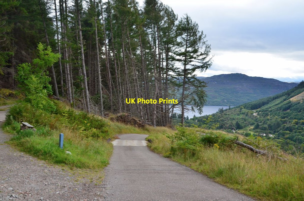 Photo 6"x4" Great Glen Way above Invermoriston Invermoriston c2016