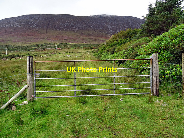 Photo 6"x4" Farm gate beside the Slievemore Road Keel c2016